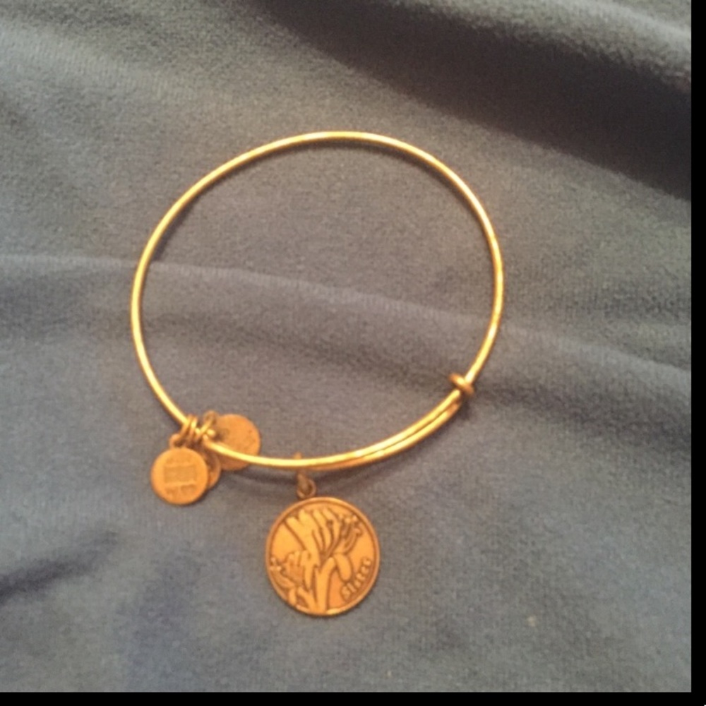 Sister alex and ani